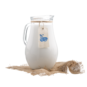 Fresh Milk